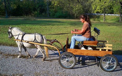 The Amazing EZ-Trainer | Horse wagon, Miniature horse, Mini horse cart