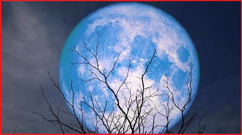 Rare super blue Moon to illuminate nights, this week: All you need to know