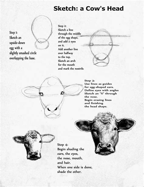 how to draw cow eyes - cristymatty