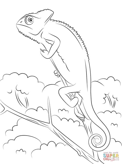 Chameleon Outline Drawing at GetDrawings | Free download