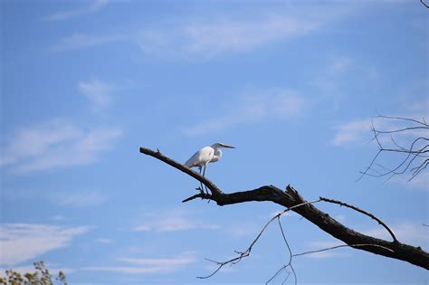 Black Swamp Bird Observatory Visitor Center | Ohio Traveler