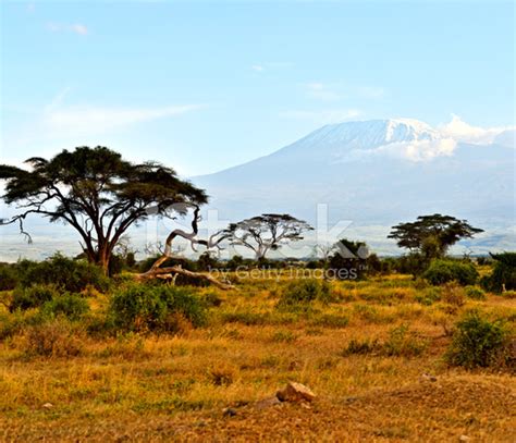 African Savannah Landscape stock photos - FreeImages.com