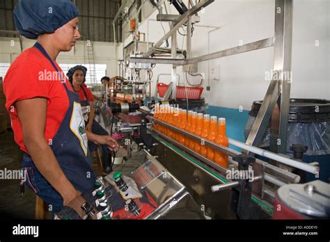 Marie Sharp Hot Sauce Factory Stock Photo - Alamy