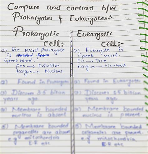 The Difference Between Prokaryotes and Eukaryotes - FAQs