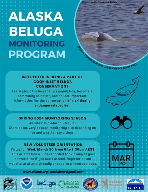 Beluga Monitoring Spring Orientation - Alaska Wildlife Conservation Center