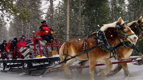 The One Horse Sleigh Ride Date - Atherton Life Care Community