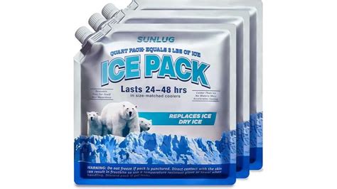 15 Best Cooler Ice Packs to Keep Your Beverages and Food Cold All Day Long - ByRetreat