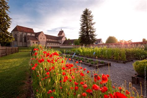 Take Me to Church: Germany's Most Important Cathedrals and Abbeys