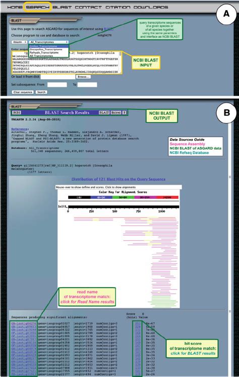 ASGARD NCBI BLAST search. The BLAST page gives users access to the... | Download Scientific Diagram