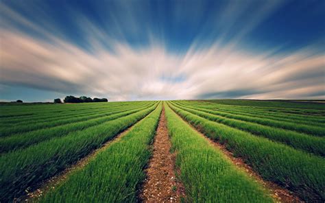 Agriculture Wallpapers - Wallpaper Cave