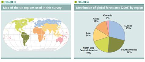 Deforestation Estimates