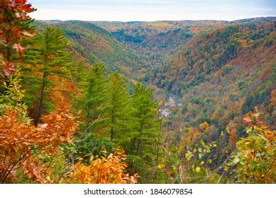 Overlooking Valley Pennsylvania Grand Canyon Fall Stock Photo ...