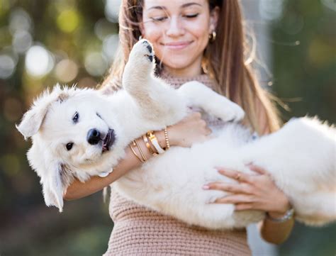 Posing Ideas with Pets for your next Family Photography Session ...