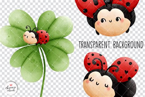 Ladybug clipart, cute ladybug png, bug clipart, love bug clipart By ...