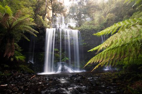 How to visit Russell Falls Tasmania: The Iconic Waterfall