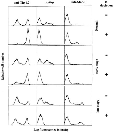 Flow cytometry analysis of splenocytes before and after B cell... | Download Scientific Diagram