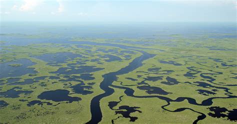 Everglades National Park: 10 tips for visiting the park