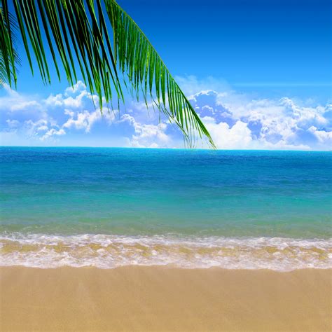 🔥 [42+] iPad Wallpapers Beach Scenes | WallpaperSafari