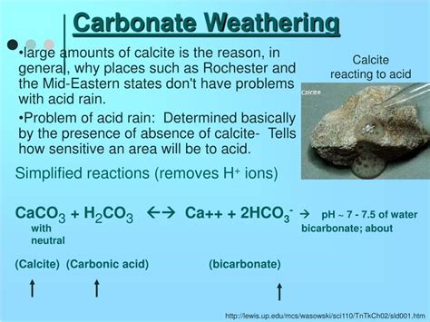 PPT - Solubility of CO 2 and Carbonate Equilibrium PowerPoint ...