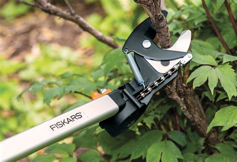 Best Tree Pruner of 2024 for Your Yard | Tree Pruners Reviews