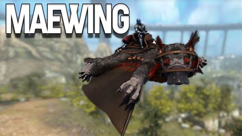 ARK: Maewing - How to Tame, Feed and Breed!