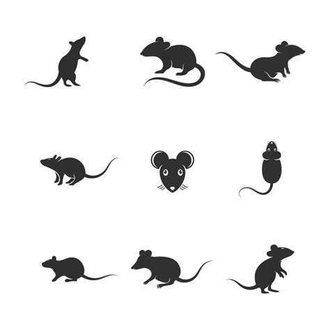 Rat cute Vector icon design illustration 3541379 Vector Art at Vecteezy