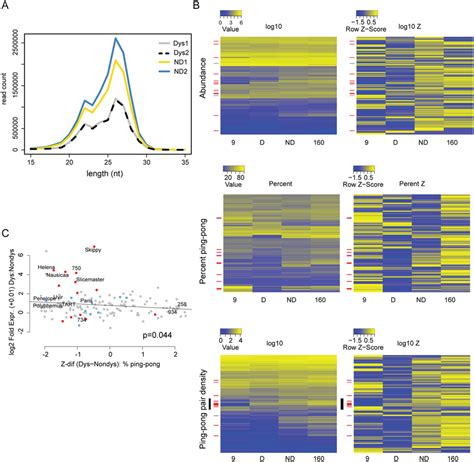 Signatures of piRNA biogenesis in the dysgenic germline show only... | Download Scientific Diagram