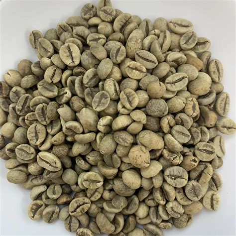 Certified Robusta Green Coffee Beans Normal G1 16 Screen Wholesale With ...