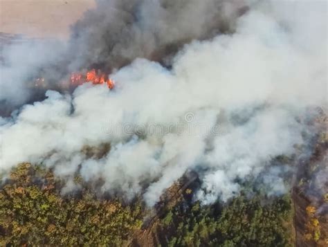 Forest Fire, Smoke Of Surrounding Area. Smoke And Fire Stock Image - Image of smoke, wood: 173073997