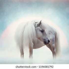 White Horse Portrait Sunset Stock Photo 1196581792 | Shutterstock