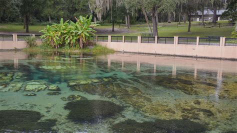 Salt Springs, Ocala National Forest – Florida Hikes