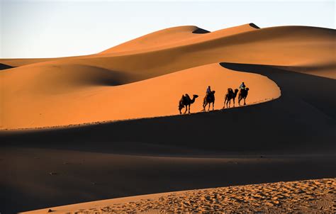 Wallpaper desert, Mongolia, Gobi, Gobi images for desktop, section ...