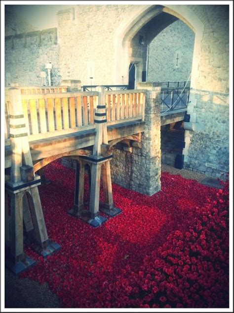 Poppy Display. Tower of London | Tower of london, Tower, London