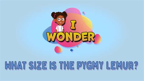 What Size Is The Pygmy Lemur? - LearningMole