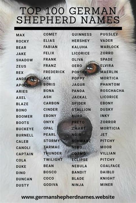 Cute German Shepherd Puppy Names