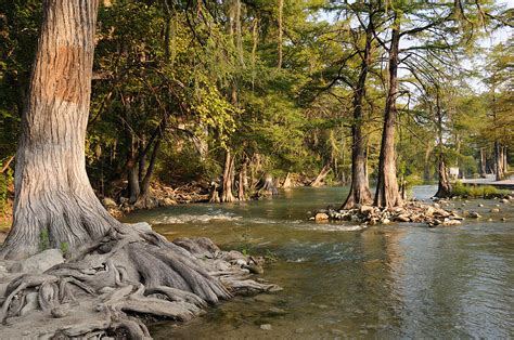 Gruene River Photograph by Mike Roach - Pixels