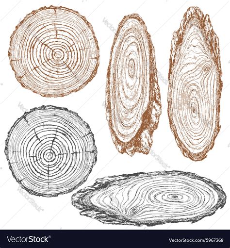 Wood texture sketch Royalty Free Vector Image - VectorStock