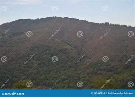 Large Galician Forests Full of Pines and Eucalyptus in the Mountains Near Navia De Suarna ...