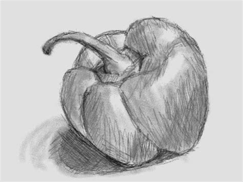 pepper pencil sketch - - Yahoo Image Search Results Colored Pencil ...