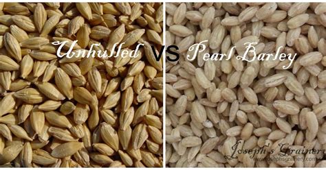 Joseph's Grainery: What is Unhulled Barley vs Pearl Barley?