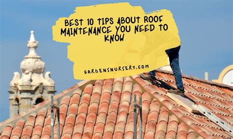 Best 10 Tips About Roof Maintenance You Need To Know | GARDENS NURSERY