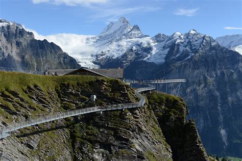 Cliff Walk above Grindelwald in the Swiss Alps. Worth the risk?!?!? | Swiss hiking, Jungfrau ...