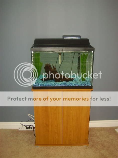 Your aquarium setups. - FishForums.com