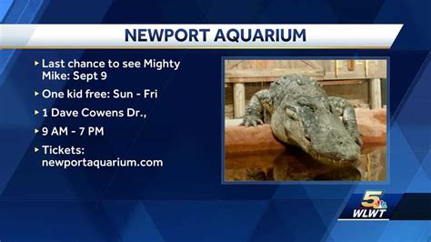 Newport Aquarium upcoming events