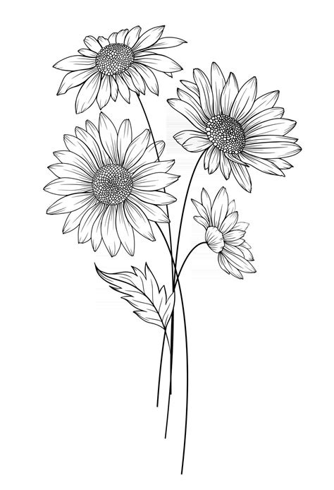 Download daisy flower outline daisy line art line drawing chamomile ...