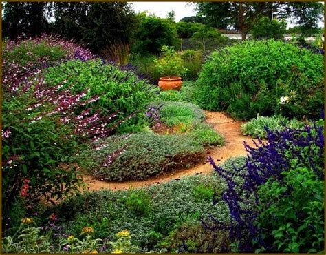 28 best images about Water-wise Gardening on Pinterest | Gardens, Lodi california and Front yards