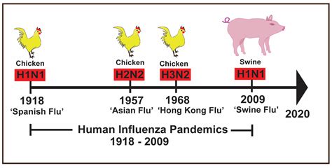 2009 swine flu outbreak timeline