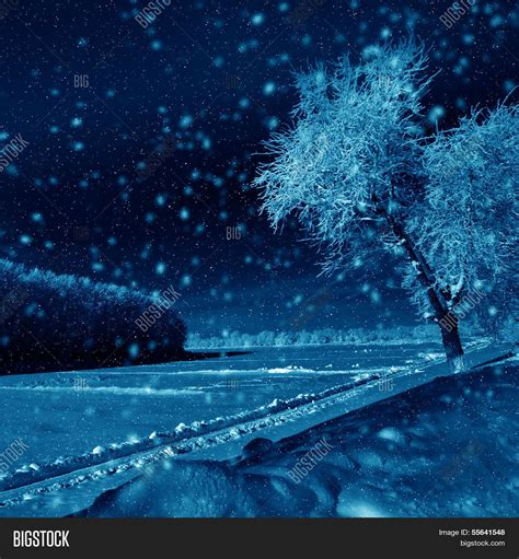 Winter Night Scenery Image & Photo (Free Trial) | Bigstock