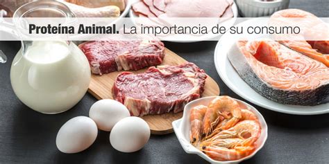 Proteína Animal. La importancia de su consumo | Código F