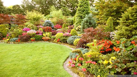 The Best Shrubs for Nashville Summers | The Parke Company